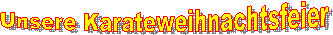 Unsere Karateweihnachtsfeier